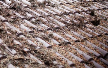 Patney roof cleaning companies